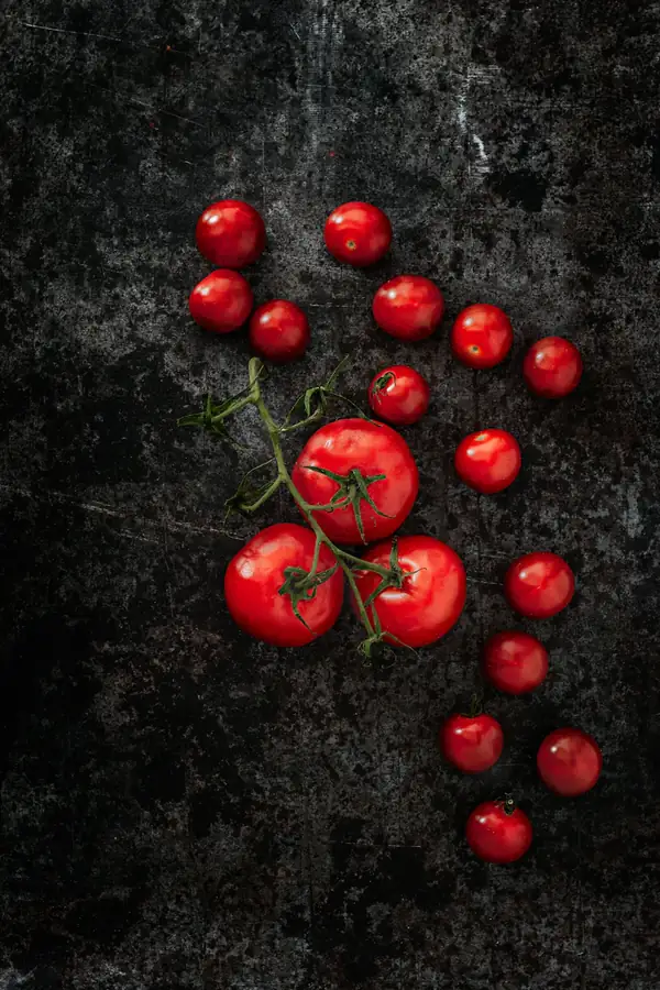 Rote Kirschtomaten an der Rispe auf dunklem Stein